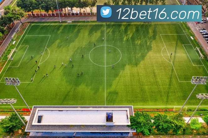 12betAPP 封面图